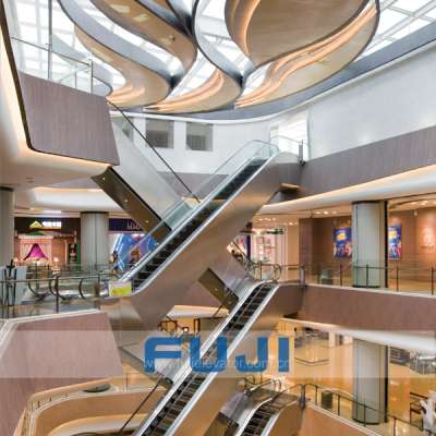 FUJI VVVF indoor outdoor Residential Escalator cost